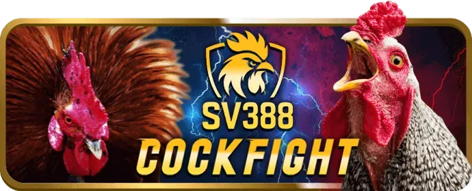 Ưu đãi VIP sv88 nhà cái