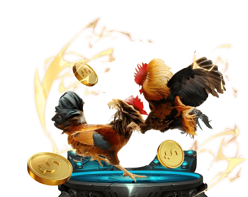 Giấy phép hoạt động của SV88